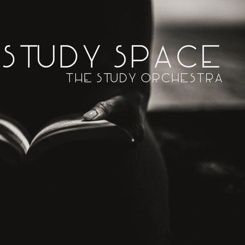 Study Space