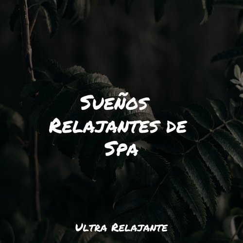 Sueños  Relajantes de Spa_poster_image