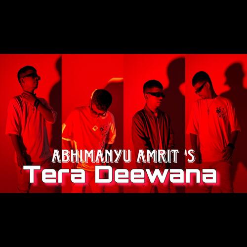 TERA DEEWANA cover art