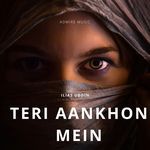 Teri Aankhon Mein