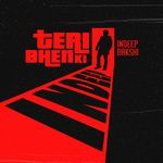 Teri Bhenki
