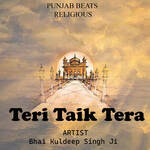 Teri Taik Tera