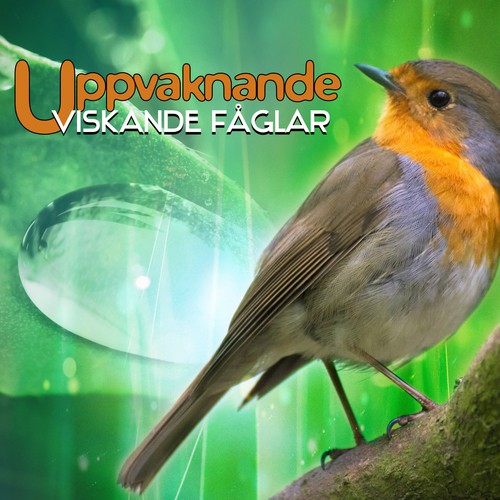 Akupunktur cover art