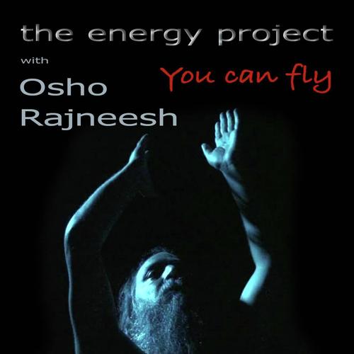 The Energy Project