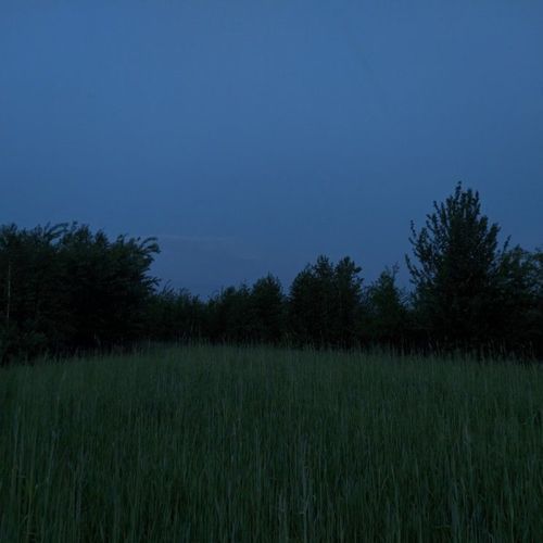 a walk in the field