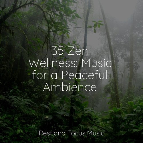 35 Zen Wellness: Music for a Peaceful Ambience