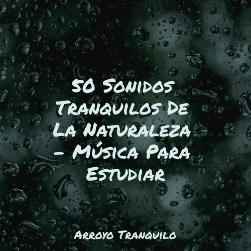 Refugio De Paz cover art