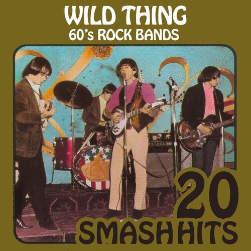 60's Rock Bands - Wild Thing