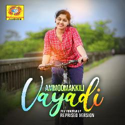 Ammoomakkili Vayadi (Reprised Version)