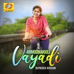 Ammoomakkili Vayadi (Reprised Version)