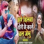 Are Dilwa Tori Ke Kale Chal Jebhu