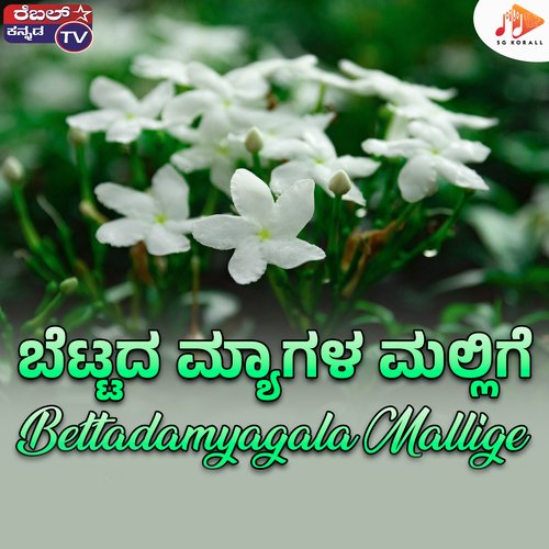 Bettadamyagala Mallige