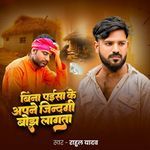 Bina Paisa Ke Apne Zindgi Bhojh Lagta