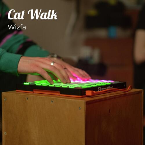 Cat Walk