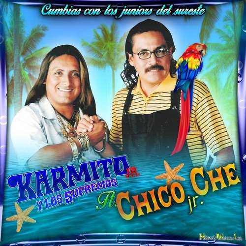 Susy cover art