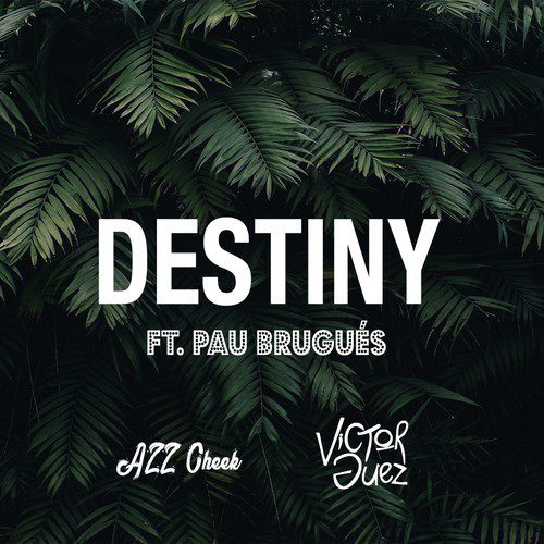 Destiny (feat. Pau Brugués)_poster_image