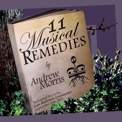 Eleven Musical Remedies
