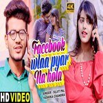 Facebook wlaa pyar na hola