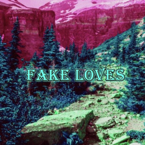 Fake Loves