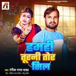 Hamhi Turni Tor Seel