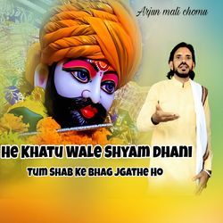 He Khatu Wale Shyam Dhani Tum Shab Ke Bhag Jgahte Ho