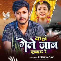 Kaha Gele Jaan Kabutar Re