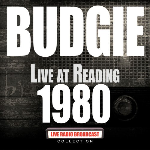 Live At Reading 1980 (Live)