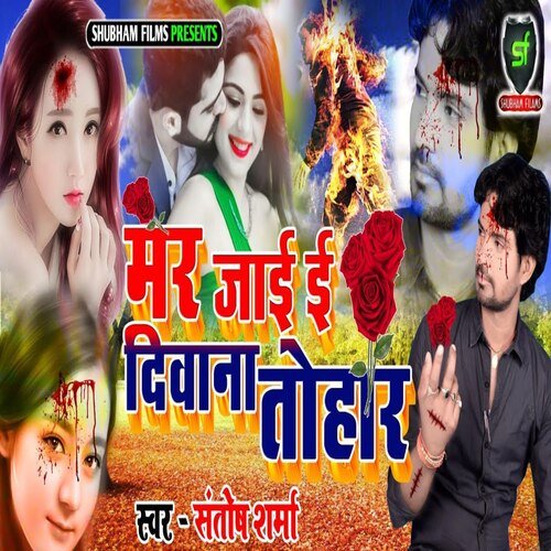 Mar Jai I Deewana Tohar