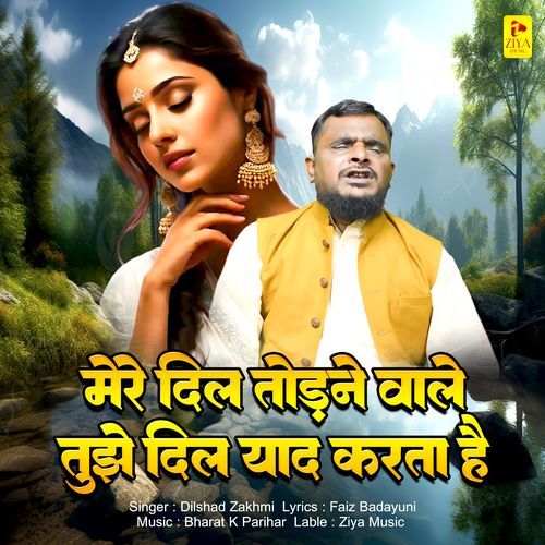 Mera Dil Todne Wale Tujhe Dil Yaad Karta Hai
