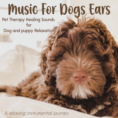 Music For Dogs Ears: Pet Therapy Healing Sounds for Dog and Puppy Relaxation, A Relaxing Instrumental Journey_poster_image