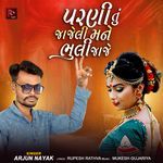 Parni Tu Jajeli Mane Bhuli Jaje