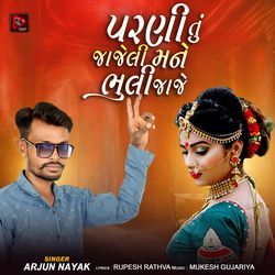 Parni Tu Jajeli Mane Bhuli Jaje