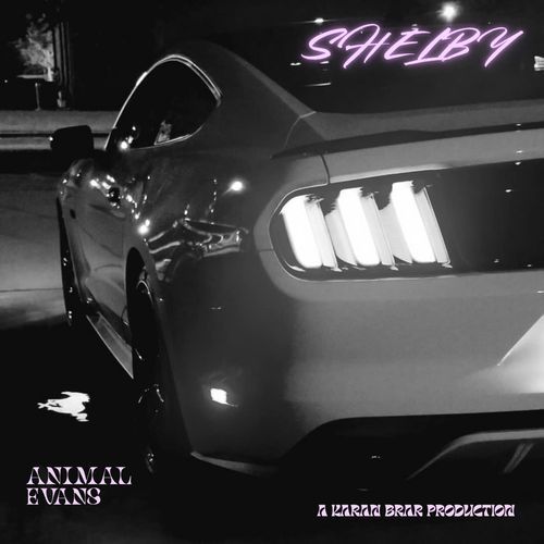Shelby