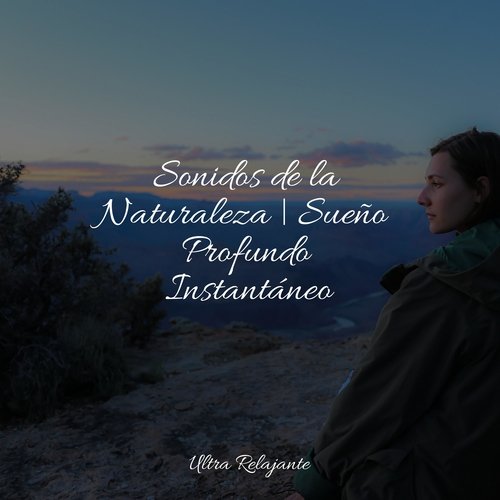 Sonidos de la Naturaleza | Sueño Profundo Instantáneo_poster_image