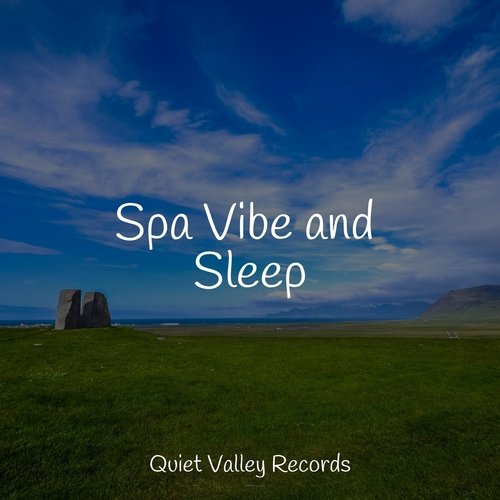 Spa Vibe and Sleep