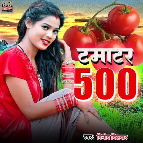 Tamatar 500