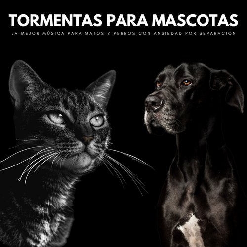 Música Para Perros cover art