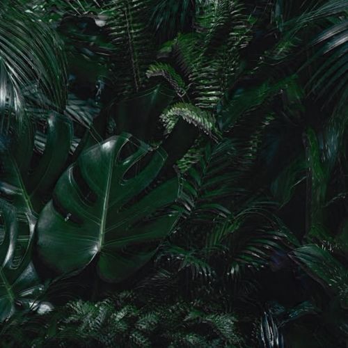 Vat Of Acid Cliché cover art
