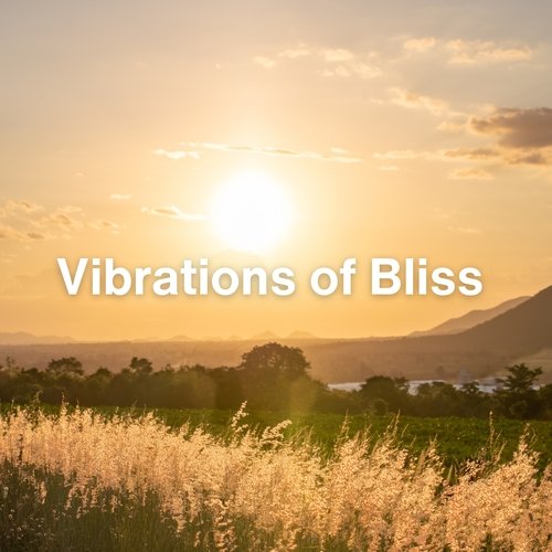 Vibrations of Bliss_poster_image