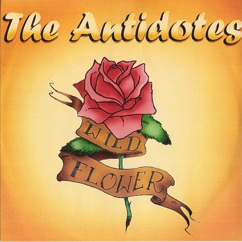 the Antidotes