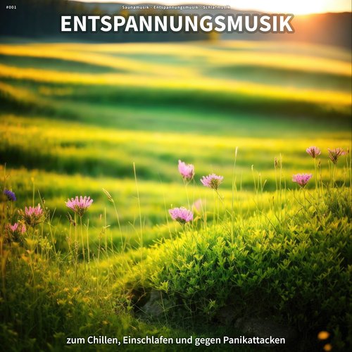 Entspannungsmusik cover art