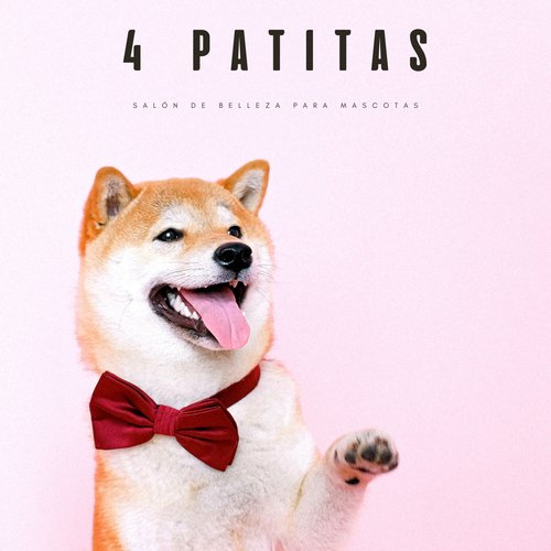 Calma Música Para Perros Con Ansiedad De Separación cover art