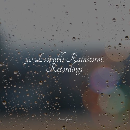 50 Loopable Rainstorm Recordings_poster_image