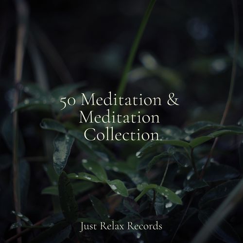 50 Meditation & Meditation Collection