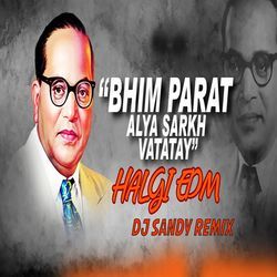 Bhim Partun Aalya Sarkh Vattay (Halgi Edm, Dj Sandy Remix)-GTwffA5zBAA