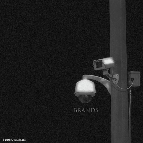 Brands_poster_image