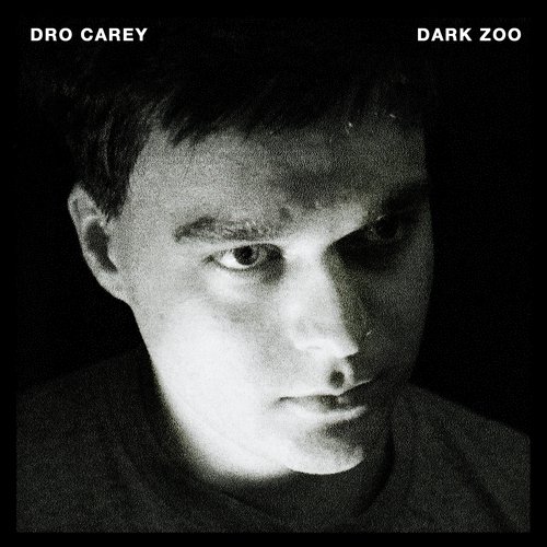 Dark Zoo_poster_image