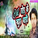 Dil Tod Ke Khus Badi