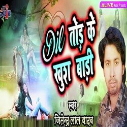 Dil Tod Ke Khus Badi