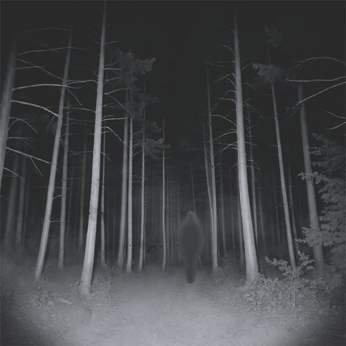 diaries cover art